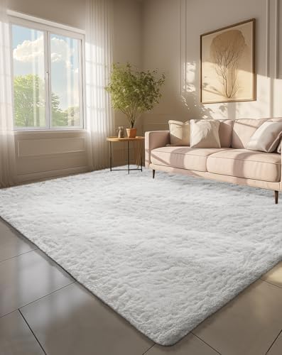 Ophanie Area Rugs for Living Room Bedroom, Washable Non-Slip Fluffy Soft Grey Shag Carpet, Indoor Floor Gray 4x6 Fuzzy Shaggy Living Room Plush Rug for Kids Home Dorm Decor Aesthetic|B0852WLH7M