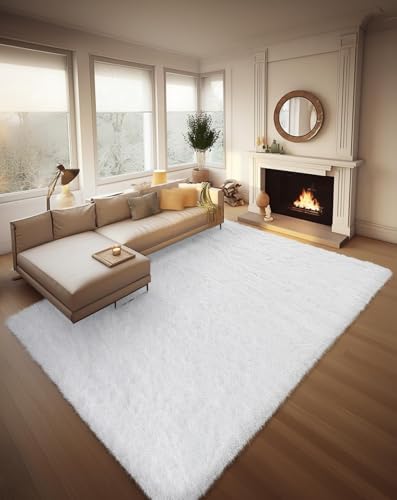 Ophanie Area Rugs for Living Room Bedroom, Washable Non-Slip Fluffy Soft Grey Shag Carpet, Indoor Floor Gray 4x6 Fuzzy Shaggy Living Room Plush Rug for Kids Home Dorm Decor Aesthetic|B0852WLH7M