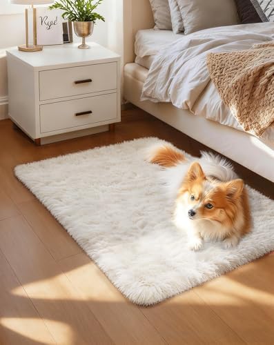 Ophanie Area Rugs for Living Room Bedroom, Washable Non-Slip Fluffy Soft Grey Shag Carpet, Indoor Floor Gray 4x6 Fuzzy Shaggy Living Room Plush Rug for Kids Home Dorm Decor Aesthetic|B0852WLH7M