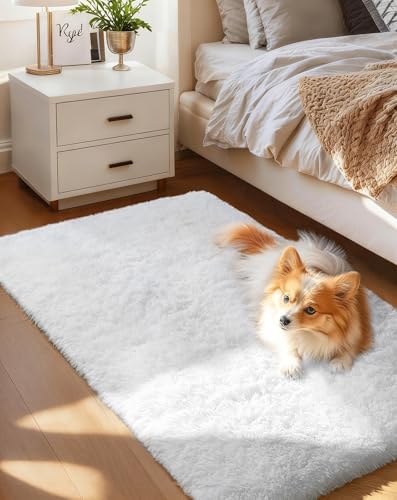 Ophanie Area Rugs for Living Room Bedroom, Washable Non-Slip Fluffy Soft Grey Shag Carpet, Indoor Floor Gray 4x6 Fuzzy Shaggy Living Room Plush Rug for Kids Home Dorm Decor Aesthetic|B0852WLH7M