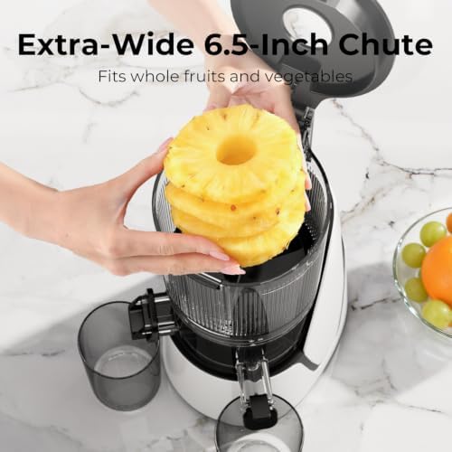 EanOruus Juicer Machines, 3-in-1 Cold Press Juicer, Bright White | Makes Juice, Nut Milk & Sorbet, 6.5" Extra Large Chute, 100oz Large Capacity, AC Motor|B0FZH8VQTG