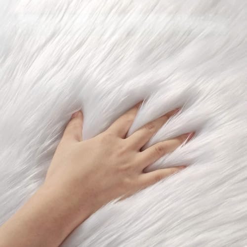 Ophanie Area Rugs for Living Room Bedroom, Washable Non-Slip Fluffy Soft Grey Shag Carpet, Indoor Floor Gray 4x6 Fuzzy Shaggy Living Room Plush Rug for Kids Home Dorm Decor Aesthetic|B0852WLH7M