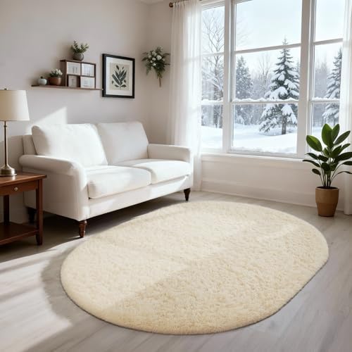 Ophanie Area Rugs for Living Room Bedroom, Washable Non-Slip Fluffy Soft Grey Shag Carpet, Indoor Floor Gray 4x6 Fuzzy Shaggy Living Room Plush Rug for Kids Home Dorm Decor Aesthetic|B0852WLH7M