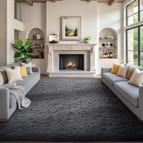 Ophanie Area Rugs for Living Room Bedroom, Washable Non-Slip Fluffy Soft Grey Shag Carpet, Indoor Floor Gray 4x6 Fuzzy Shaggy Living Room Plush Rug for Kids Home Dorm Decor Aesthetic|B0852WLH7M