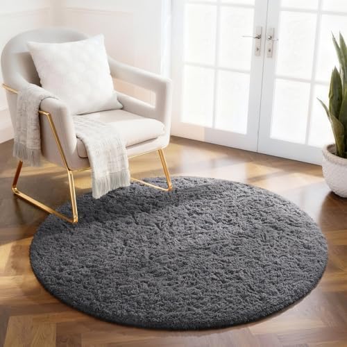 Ophanie Area Rugs for Living Room Bedroom, Washable Non-Slip Fluffy Soft Grey Shag Carpet, Indoor Floor Gray 4x6 Fuzzy Shaggy Living Room Plush Rug for Kids Home Dorm Decor Aesthetic|B0852WLH7M