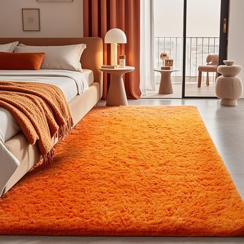 Ophanie Area Rugs for Living Room Bedroom, Washable Non-Slip Fluffy Soft Grey Shag Carpet, Indoor Floor Gray 4x6 Fuzzy Shaggy Living Room Plush Rug for Kids Home Dorm Decor Aesthetic|B0852WLH7M
