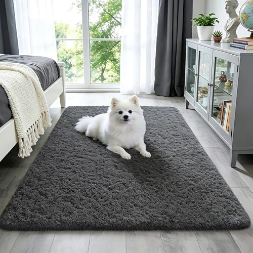 Ophanie Area Rugs for Living Room Bedroom, Washable Non-Slip Fluffy Soft Grey Shag Carpet, Indoor Floor Gray 4x6 Fuzzy Shaggy Living Room Plush Rug for Kids Home Dorm Decor Aesthetic|B0852WLH7M