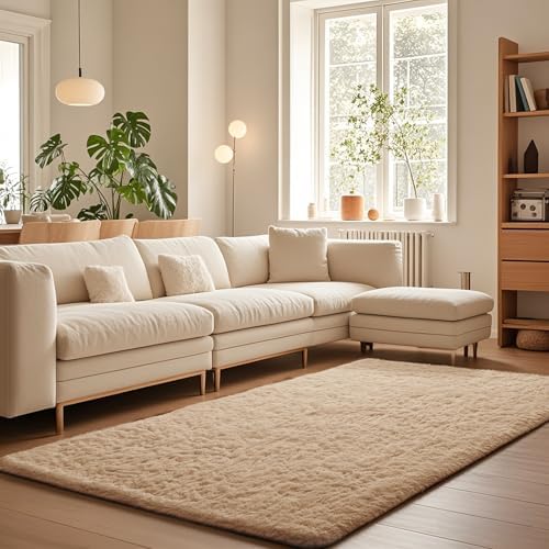 Ophanie Area Rugs for Living Room Bedroom, Washable Non-Slip Fluffy Soft Grey Shag Carpet, Indoor Floor Gray 4x6 Fuzzy Shaggy Living Room Plush Rug for Kids Home Dorm Decor Aesthetic|B0852WLH7M