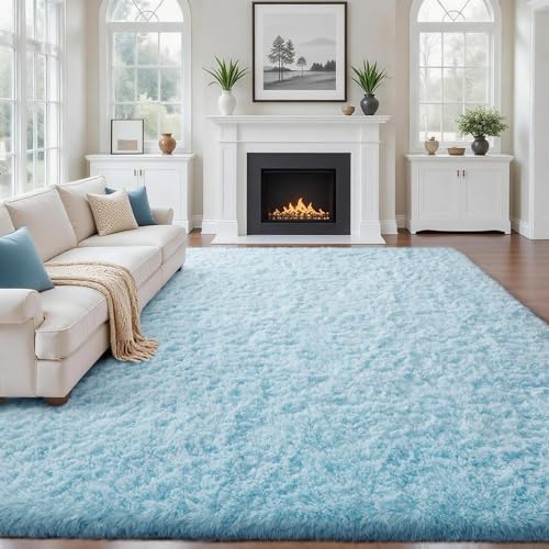 Ophanie Area Rugs for Living Room Bedroom, Washable Non-Slip Fluffy Soft Grey Shag Carpet, Indoor Floor Gray 4x6 Fuzzy Shaggy Living Room Plush Rug for Kids Home Dorm Decor Aesthetic|B0852WLH7M