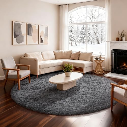 Ophanie Area Rugs for Living Room Bedroom, Washable Non-Slip Fluffy Soft Grey Shag Carpet, Indoor Floor Gray 4x6 Fuzzy Shaggy Living Room Plush Rug for Kids Home Dorm Decor Aesthetic|B0852WLH7M