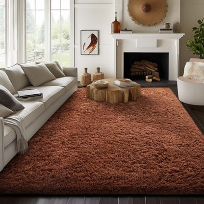 Ophanie Area Rugs for Living Room Bedroom, Washable Non-Slip Fluffy Soft Grey Shag Carpet, Indoor Floor Gray 4x6 Fuzzy Shaggy Living Room Plush Rug for Kids Home Dorm Decor Aesthetic|B0852WLH7M