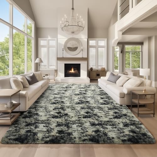 Ophanie Area Rugs for Living Room Bedroom, Washable Non-Slip Fluffy Soft Grey Shag Carpet, Indoor Floor Gray 4x6 Fuzzy Shaggy Living Room Plush Rug for Kids Home Dorm Decor Aesthetic|B0852WLH7M