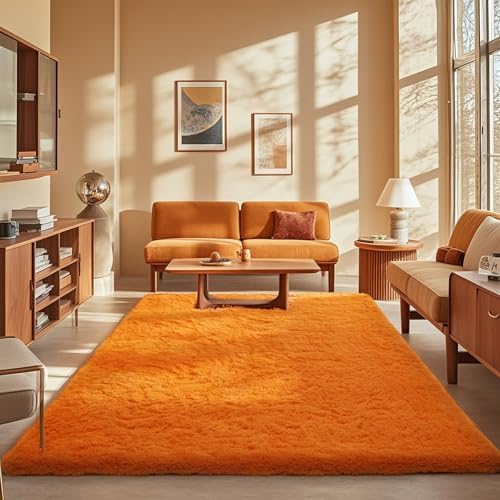 Ophanie Area Rugs for Living Room Bedroom, Washable Non-Slip Fluffy Soft Grey Shag Carpet, Indoor Floor Gray 4x6 Fuzzy Shaggy Living Room Plush Rug for Kids Home Dorm Decor Aesthetic|B0852WLH7M