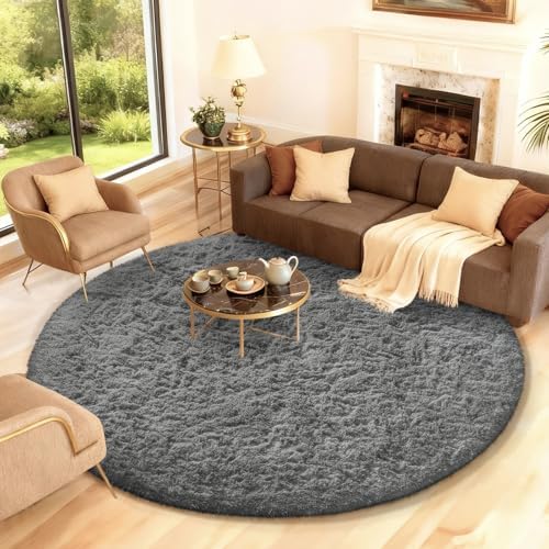 Ophanie Area Rugs for Living Room Bedroom, Washable Non-Slip Fluffy Soft Grey Shag Carpet, Indoor Floor Gray 4x6 Fuzzy Shaggy Living Room Plush Rug for Kids Home Dorm Decor Aesthetic|B0852WLH7M