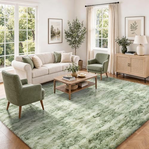 Ophanie Area Rugs for Living Room Bedroom, Washable Non-Slip Fluffy Soft Grey Shag Carpet, Indoor Floor Gray 4x6 Fuzzy Shaggy Living Room Plush Rug for Kids Home Dorm Decor Aesthetic|B0852WLH7M