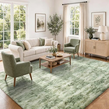 Ophanie Area Rugs for Living Room Bedroom, Washable Non-Slip Fluffy Soft Grey Shag Carpet, Indoor Floor Gray 4x6 Fuzzy Shaggy Living Room Plush Rug for Kids Home Dorm Decor Aesthetic|B0852WLH7M