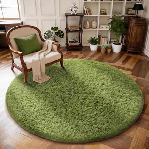 Ophanie Area Rugs for Living Room Bedroom, Washable Non-Slip Fluffy Soft Grey Shag Carpet, Indoor Floor Gray 4x6 Fuzzy Shaggy Living Room Plush Rug for Kids Home Dorm Decor Aesthetic|B0852WLH7M