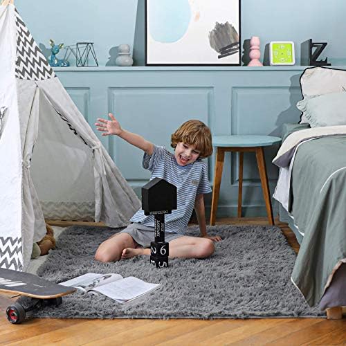Ophanie Area Rugs for Living Room Bedroom, Washable Non-Slip Fluffy Soft Grey Shag Carpet, Indoor Floor Gray 4x6 Fuzzy Shaggy Living Room Plush Rug for Kids Home Dorm Decor Aesthetic|B0852WLH7M