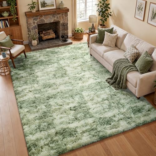 Ophanie Area Rugs for Living Room Bedroom, Washable Non-Slip Fluffy Soft Grey Shag Carpet, Indoor Floor Gray 4x6 Fuzzy Shaggy Living Room Plush Rug for Kids Home Dorm Decor Aesthetic|B0852WLH7M
