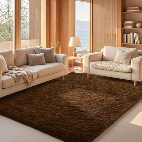 Ophanie Area Rugs for Living Room Bedroom, Washable Non-Slip Fluffy Soft Grey Shag Carpet, Indoor Floor Gray 4x6 Fuzzy Shaggy Living Room Plush Rug for Kids Home Dorm Decor Aesthetic|B0852WLH7M