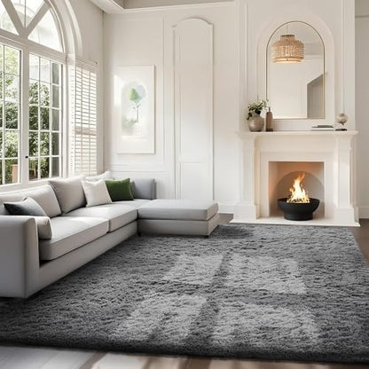 Ophanie Area Rugs for Living Room Bedroom, Washable Non-Slip Fluffy Soft Grey Shag Carpet, Indoor Floor Gray 4x6 Fuzzy Shaggy Living Room Plush Rug for Kids Home Dorm Decor Aesthetic|B0852WLH7M
