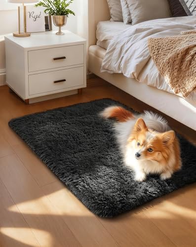 Ophanie Area Rugs for Living Room Bedroom, Washable Non-Slip Fluffy Soft Grey Shag Carpet, Indoor Floor Gray 4x6 Fuzzy Shaggy Living Room Plush Rug for Kids Home Dorm Decor Aesthetic|B0852WLH7M