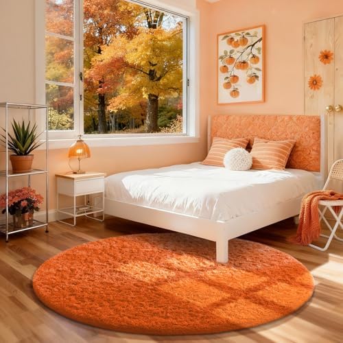 Ophanie Area Rugs for Living Room Bedroom, Washable Non-Slip Fluffy Soft Grey Shag Carpet, Indoor Floor Gray 4x6 Fuzzy Shaggy Living Room Plush Rug for Kids Home Dorm Decor Aesthetic|B0852WLH7M