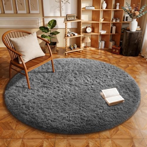 Ophanie Area Rugs for Living Room Bedroom, Washable Non-Slip Fluffy Soft Grey Shag Carpet, Indoor Floor Gray 4x6 Fuzzy Shaggy Living Room Plush Rug for Kids Home Dorm Decor Aesthetic|B0852WLH7M