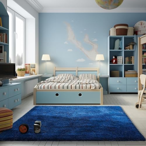 Ophanie Area Rugs for Living Room Bedroom, Washable Non-Slip Fluffy Soft Grey Shag Carpet, Indoor Floor Gray 4x6 Fuzzy Shaggy Living Room Plush Rug for Kids Home Dorm Decor Aesthetic|B0852WLH7M