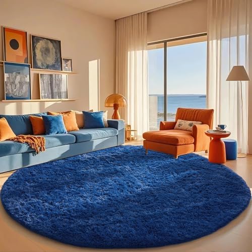 Ophanie Area Rugs for Living Room Bedroom, Washable Non-Slip Fluffy Soft Grey Shag Carpet, Indoor Floor Gray 4x6 Fuzzy Shaggy Living Room Plush Rug for Kids Home Dorm Decor Aesthetic|B0852WLH7M