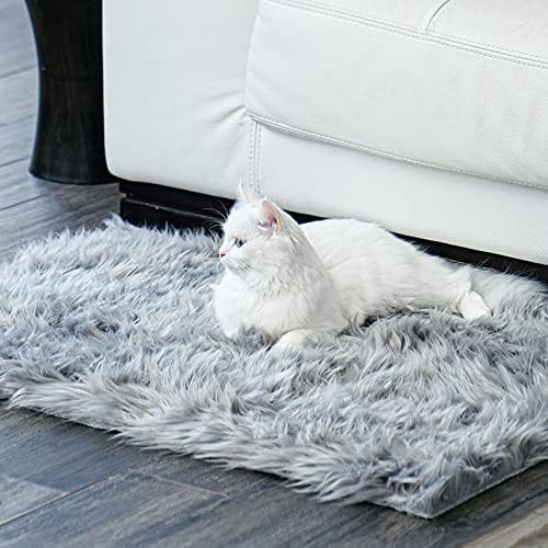 Ophanie Area Rugs for Living Room Bedroom, Washable Non-Slip Fluffy Soft Grey Shag Carpet, Indoor Floor Gray 4x6 Fuzzy Shaggy Living Room Plush Rug for Kids Home Dorm Decor Aesthetic|B0852WLH7M