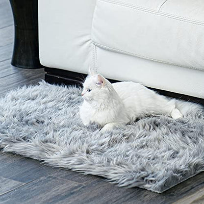 Ophanie Area Rugs for Living Room Bedroom, Washable Non-Slip Fluffy Soft Grey Shag Carpet, Indoor Floor Gray 4x6 Fuzzy Shaggy Living Room Plush Rug for Kids Home Dorm Decor Aesthetic|B0852WLH7M