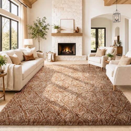 Ophanie Area Rugs for Living Room Bedroom, Washable Non-Slip Fluffy Soft Grey Shag Carpet, Indoor Floor Gray 4x6 Fuzzy Shaggy Living Room Plush Rug for Kids Home Dorm Decor Aesthetic|B0852WLH7M