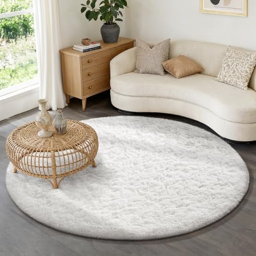 Ophanie Area Rugs for Living Room Bedroom, Washable Non-Slip Fluffy Soft Grey Shag Carpet, Indoor Floor Gray 4x6 Fuzzy Shaggy Living Room Plush Rug for Kids Home Dorm Decor Aesthetic|B0852WLH7M