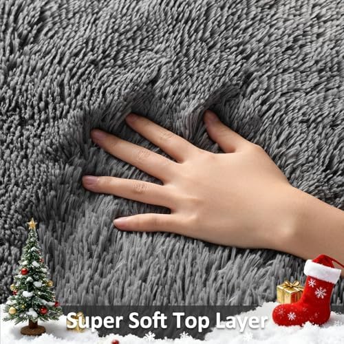 Ophanie Area Rugs for Living Room Bedroom, Washable Non-Slip Fluffy Soft Grey Shag Carpet, Indoor Floor Gray 4x6 Fuzzy Shaggy Living Room Plush Rug for Kids Home Dorm Decor Aesthetic|B0852WLH7M