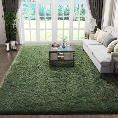 Ophanie Area Rugs for Living Room Bedroom, Washable Non-Slip Fluffy Soft Grey Shag Carpet, Indoor Floor Gray 4x6 Fuzzy Shaggy Living Room Plush Rug for Kids Home Dorm Decor Aesthetic|B0852WLH7M