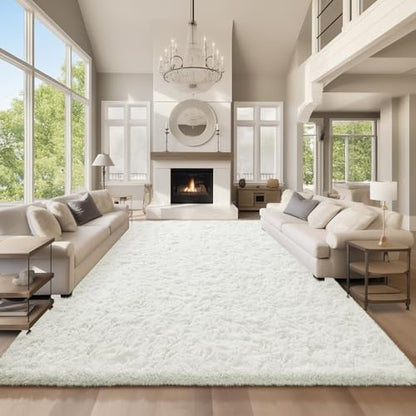 Ophanie Area Rugs for Living Room Bedroom, Washable Non-Slip Fluffy Soft Grey Shag Carpet, Indoor Floor Gray 4x6 Fuzzy Shaggy Living Room Plush Rug for Kids Home Dorm Decor Aesthetic|B0852WLH7M