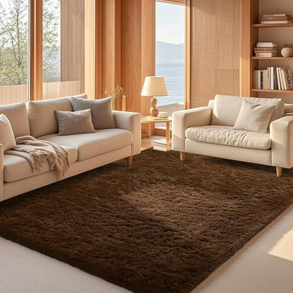 Ophanie Area Rugs for Living Room Bedroom, Washable Non-Slip Fluffy Soft Grey Shag Carpet, Indoor Floor Gray 4x6 Fuzzy Shaggy Living Room Plush Rug for Kids Home Dorm Decor Aesthetic|B0852WLH7M