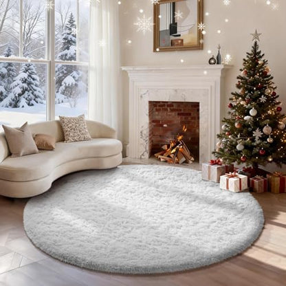 Ophanie Area Rugs for Living Room Bedroom, Washable Non-Slip Fluffy Soft Grey Shag Carpet, Indoor Floor Gray 4x6 Fuzzy Shaggy Living Room Plush Rug for Kids Home Dorm Decor Aesthetic|B0852WLH7M