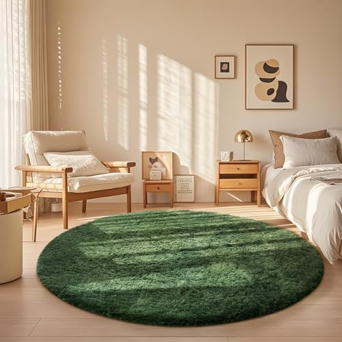 Ophanie Area Rugs for Living Room Bedroom, Washable Non-Slip Fluffy Soft Grey Shag Carpet, Indoor Floor Gray 4x6 Fuzzy Shaggy Living Room Plush Rug for Kids Home Dorm Decor Aesthetic|B0852WLH7M