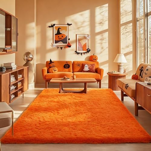 Ophanie Area Rugs for Living Room Bedroom, Washable Non-Slip Fluffy Soft Grey Shag Carpet, Indoor Floor Gray 4x6 Fuzzy Shaggy Living Room Plush Rug for Kids Home Dorm Decor Aesthetic|B0852WLH7M