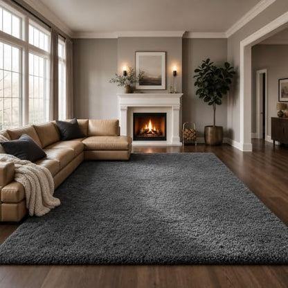 Ophanie Area Rugs for Living Room Bedroom, Washable Non-Slip Fluffy Soft Grey Shag Carpet, Indoor Floor Gray 4x6 Fuzzy Shaggy Living Room Plush Rug for Kids Home Dorm Decor Aesthetic|B0852WLH7M