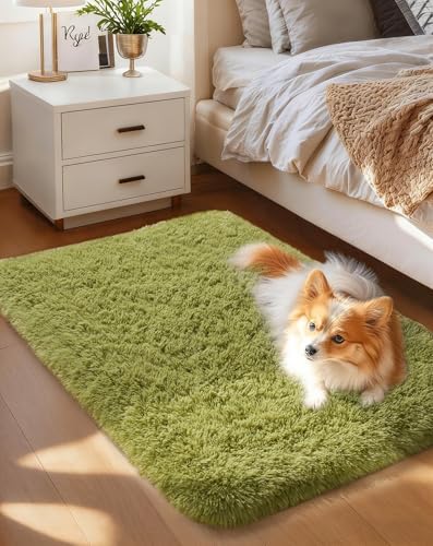 Ophanie Area Rugs for Living Room Bedroom, Washable Non-Slip Fluffy Soft Grey Shag Carpet, Indoor Floor Gray 4x6 Fuzzy Shaggy Living Room Plush Rug for Kids Home Dorm Decor Aesthetic|B0852WLH7M