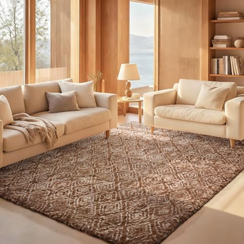 Ophanie Area Rugs for Living Room Bedroom, Washable Non-Slip Fluffy Soft Grey Shag Carpet, Indoor Floor Gray 4x6 Fuzzy Shaggy Living Room Plush Rug for Kids Home Dorm Decor Aesthetic|B0852WLH7M