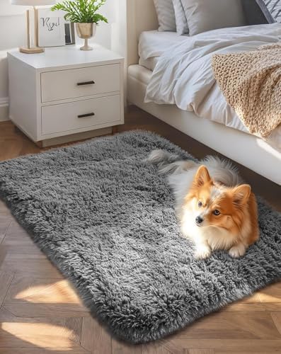 Ophanie Area Rugs for Living Room Bedroom, Washable Non-Slip Fluffy Soft Grey Shag Carpet, Indoor Floor Gray 4x6 Fuzzy Shaggy Living Room Plush Rug for Kids Home Dorm Decor Aesthetic|B0852WLH7M