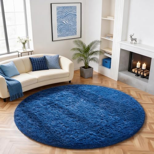 Ophanie Area Rugs for Living Room Bedroom, Washable Non-Slip Fluffy Soft Grey Shag Carpet, Indoor Floor Gray 4x6 Fuzzy Shaggy Living Room Plush Rug for Kids Home Dorm Decor Aesthetic|B0852WLH7M