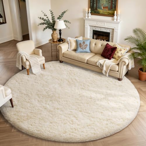 Ophanie Area Rugs for Living Room Bedroom, Washable Non-Slip Fluffy Soft Grey Shag Carpet, Indoor Floor Gray 4x6 Fuzzy Shaggy Living Room Plush Rug for Kids Home Dorm Decor Aesthetic|B0852WLH7M