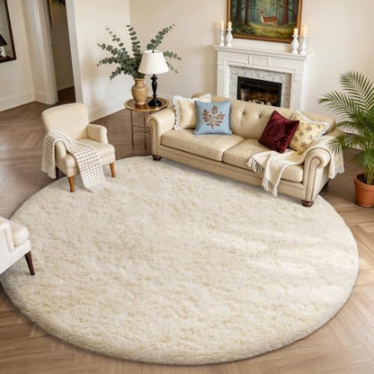 Ophanie Area Rugs for Living Room Bedroom, Washable Non-Slip Fluffy Soft Grey Shag Carpet, Indoor Floor Gray 4x6 Fuzzy Shaggy Living Room Plush Rug for Kids Home Dorm Decor Aesthetic|B0852WLH7M