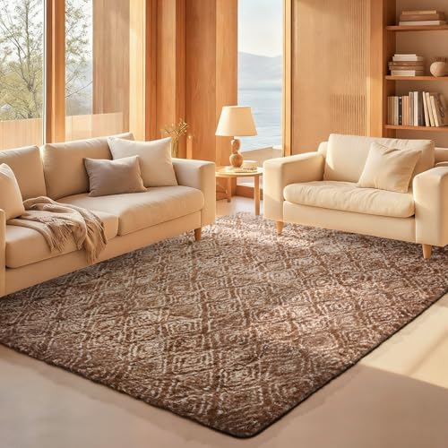 Ophanie Area Rugs for Living Room Bedroom, Washable Non-Slip Fluffy Soft Grey Shag Carpet, Indoor Floor Gray 4x6 Fuzzy Shaggy Living Room Plush Rug for Kids Home Dorm Decor Aesthetic|B0852WLH7M