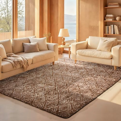 Ophanie Area Rugs for Living Room Bedroom, Washable Non-Slip Fluffy Soft Grey Shag Carpet, Indoor Floor Gray 4x6 Fuzzy Shaggy Living Room Plush Rug for Kids Home Dorm Decor Aesthetic|B0852WLH7M